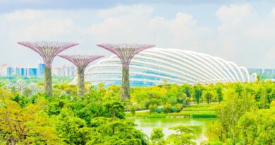 2026年新加坡将建成12个太阳能、风能和电网级储能项目