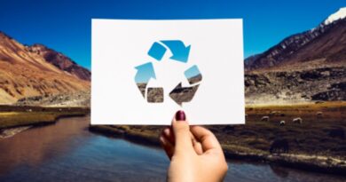 14. 新加坡2026年的循环经济与先进回收利用