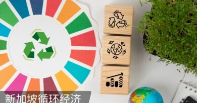 18 新加坡2026年的循环经济与先进回收利用