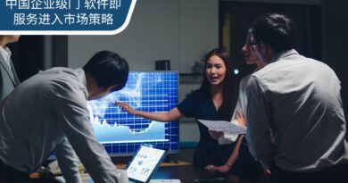 如何为中国企业市场构建门 软件即服务市场进入战略