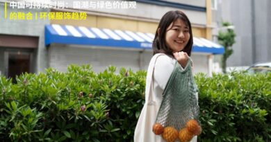 中国可持续时尚：国潮与绿色价值观的融合