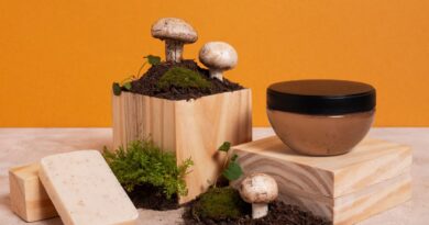 10款环保家居产品在中国城市消费者中迅速走红