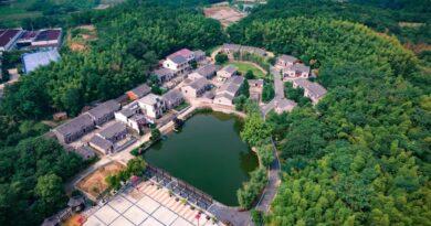 中国高校脑机接口研究进展如何