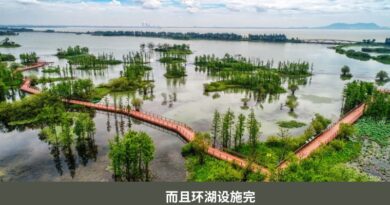 中国家庭旅游：如何规划适合三代同堂家庭的旅行
