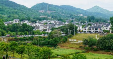 9款适合患有阅读障碍、注意力缺陷多动障碍或其他学习障碍的中国儿童的应用程序