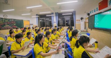 中国游戏化学习平台：家长诚实推荐的最佳选择